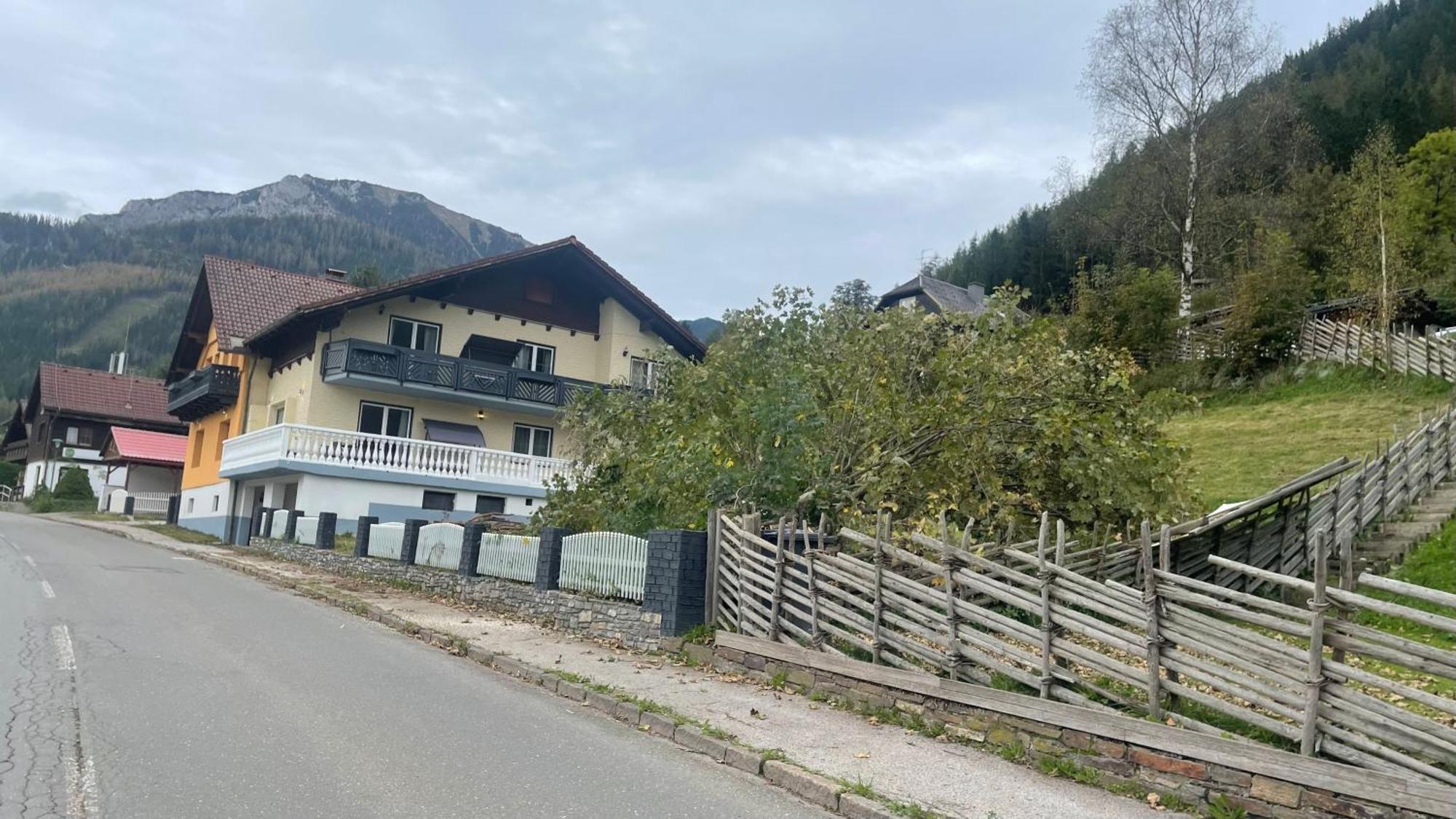 Gruener Exklusiv Appartement *